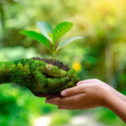 Desarrollo sostenible