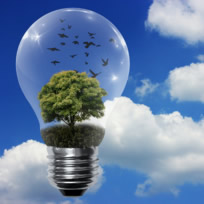 Medio ambiente - Cuida el planeta