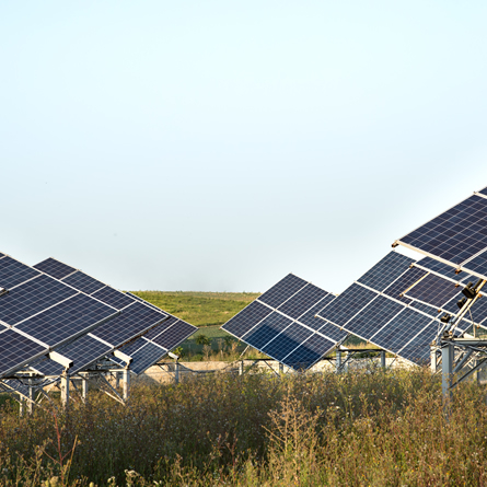 Proyectos a Gran Escala - Granjas Solares